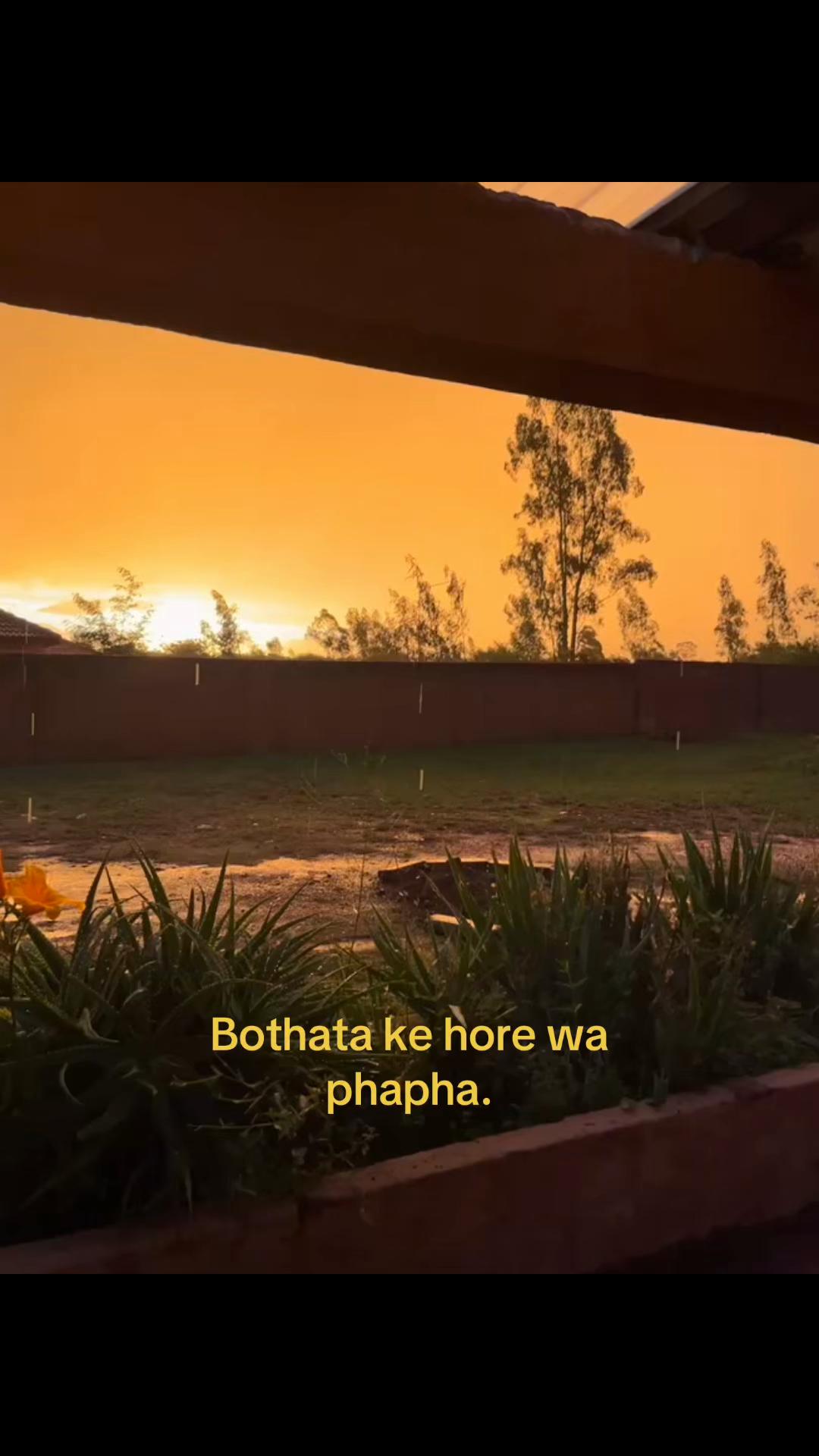 @thabiso