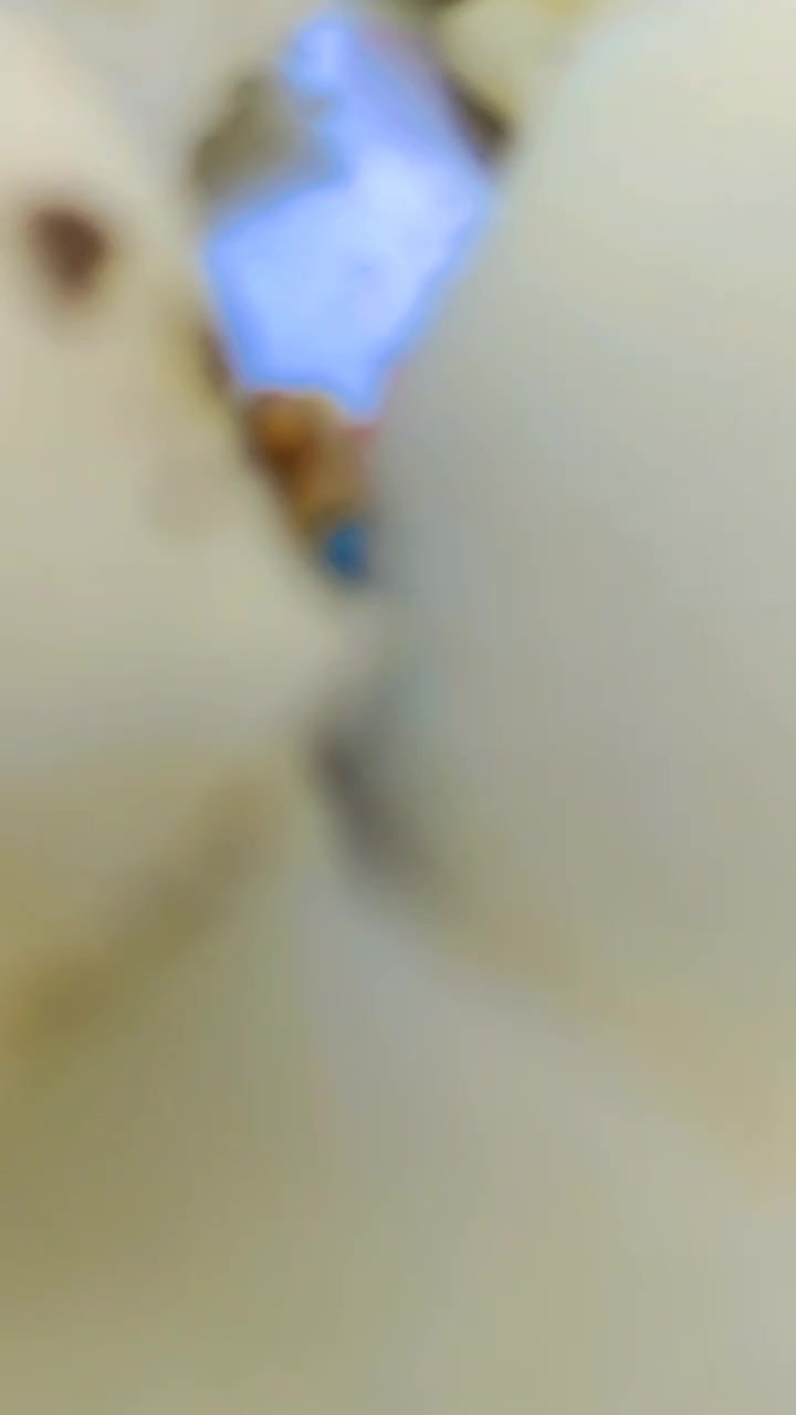 @pR@[THUMB-<div class=