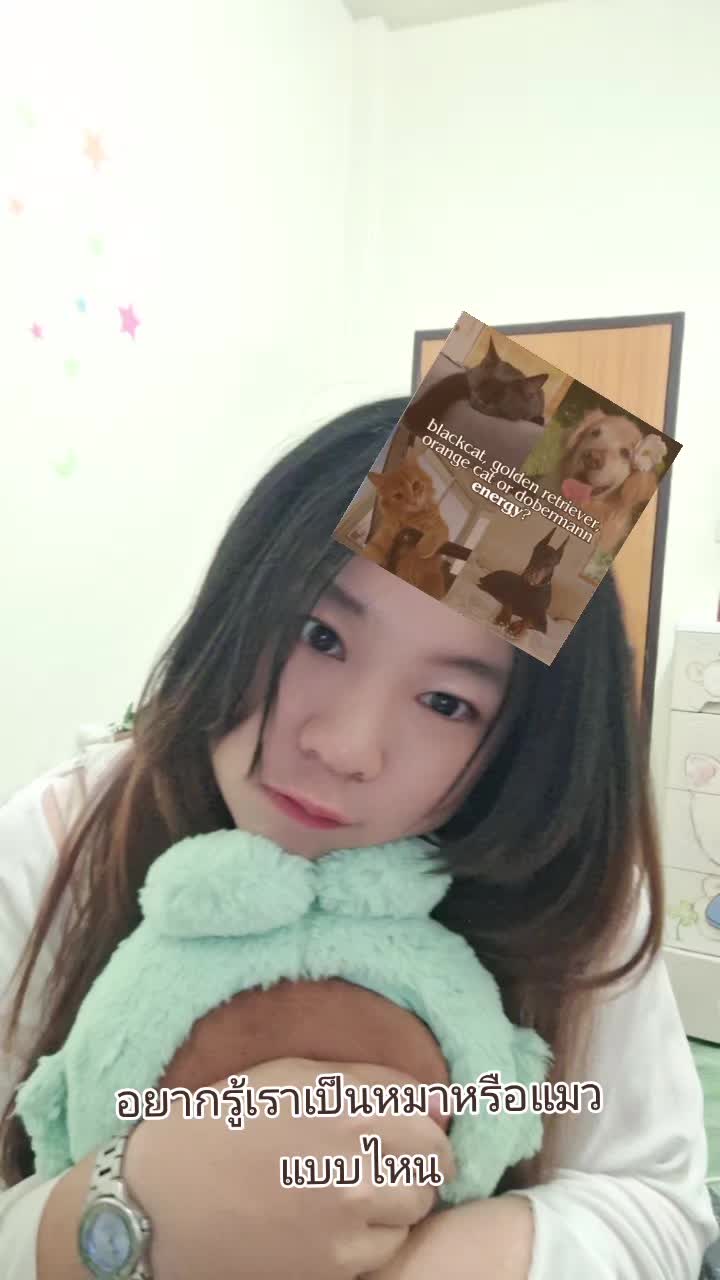@Earn Love Cat
