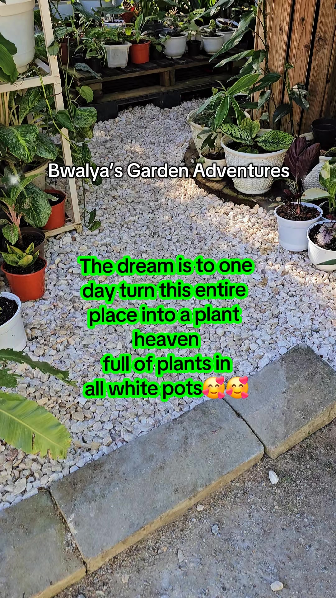@Bwalya😊