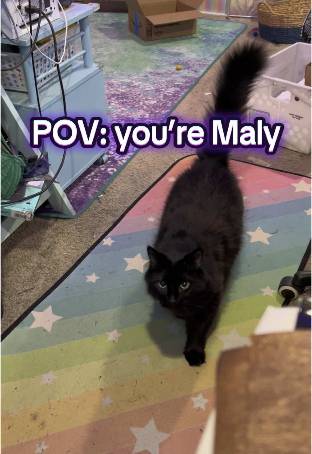 @Malytwotails