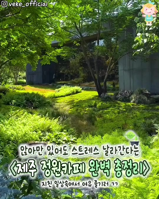 @제주핫플