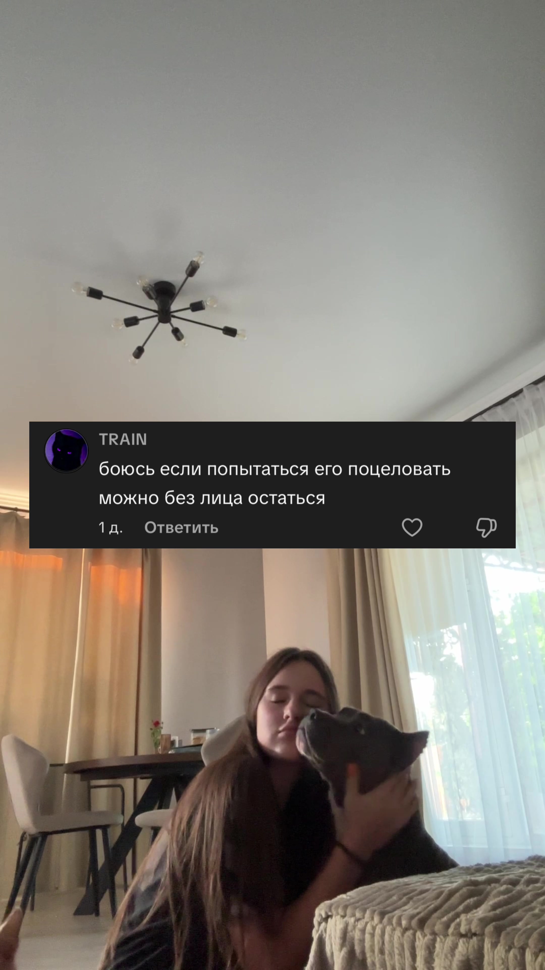 @🐶зᴧой ᴀʍᴄᴛᴀɸɸ⛓️💥