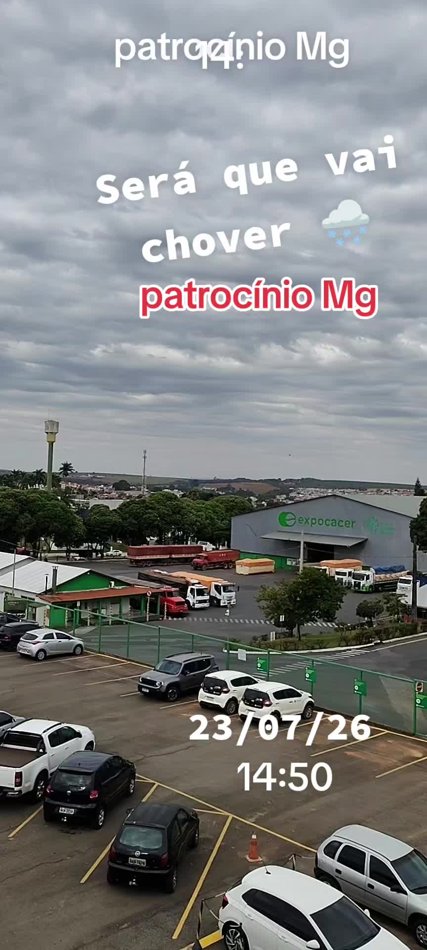@aparecidamachado303