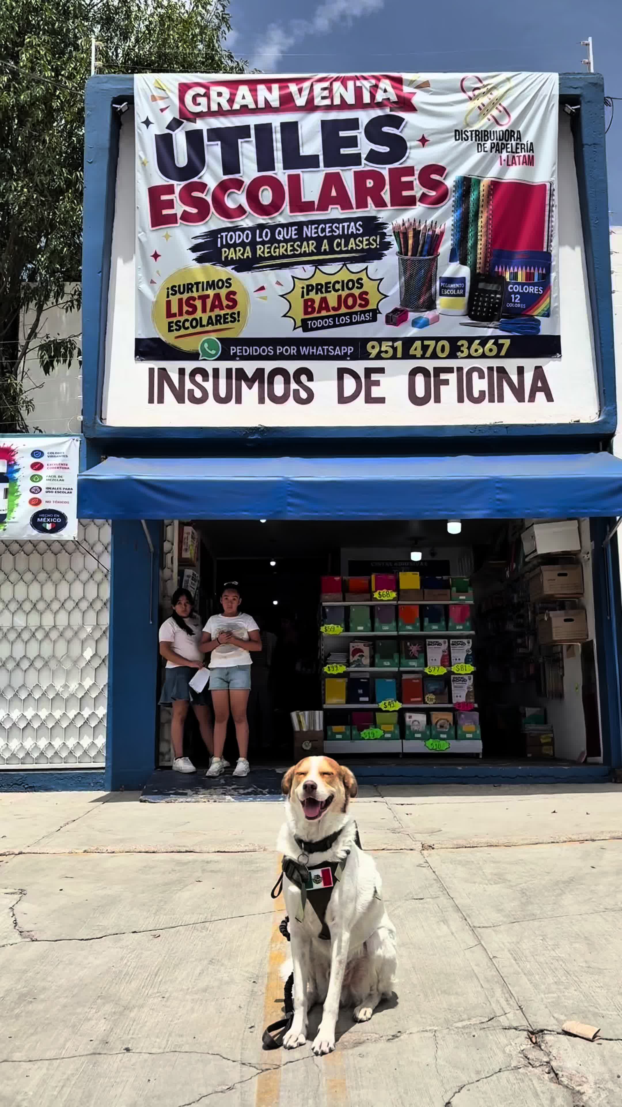@Mailo el perro gasolinero