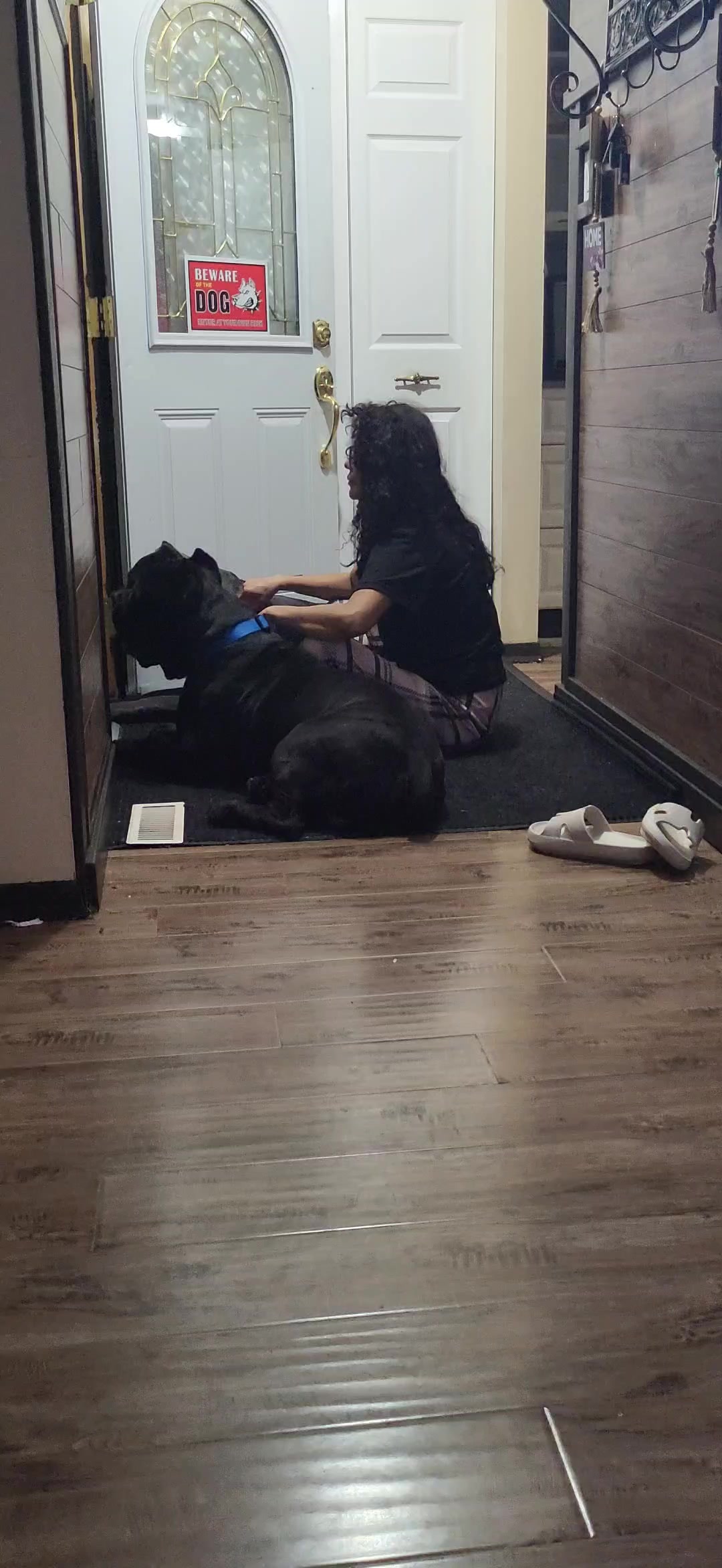 @Goku & Chichi 🇨🇦
