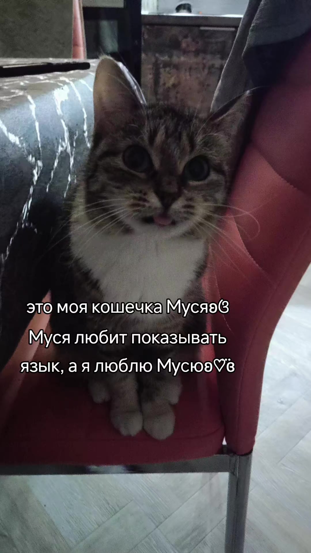 @𝑆𝑒𝑟𝑜𝑘𝑟𝑦𝑙'𝑐ℎ𝑖𝑘໒꒱🪽