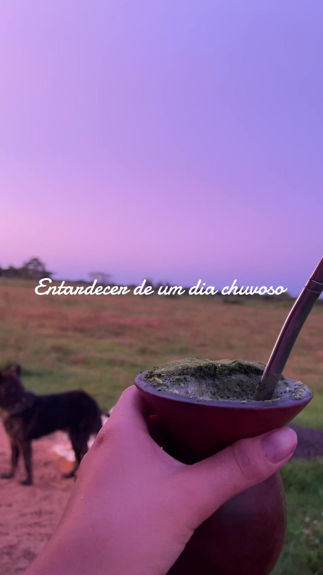 @eu_caaroline🍅
