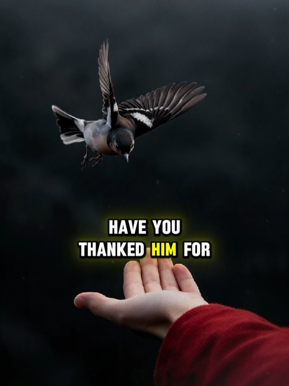 @WhereGodMEETSMe