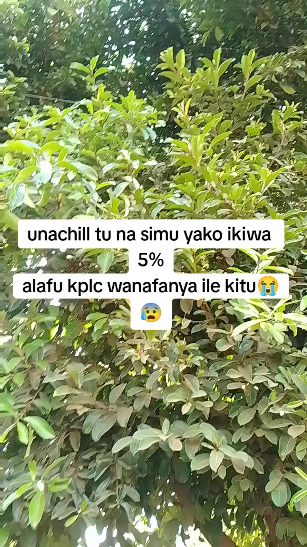 @Tess🖤254