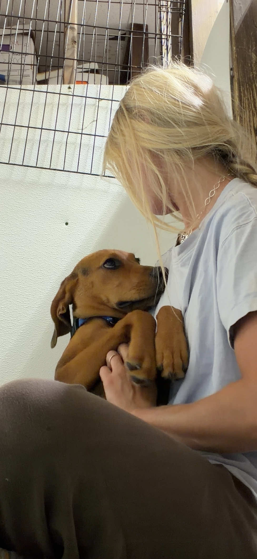 @Kind Keeper Animal Rescue