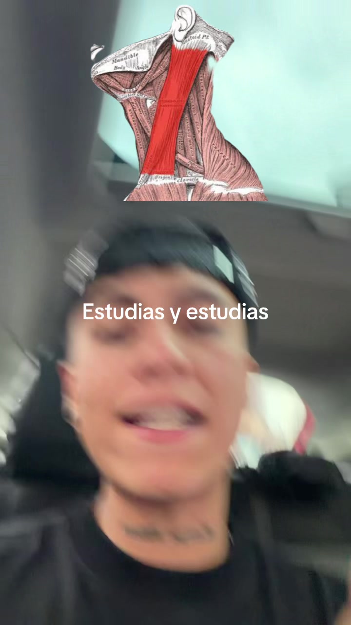 @ENDOBOY