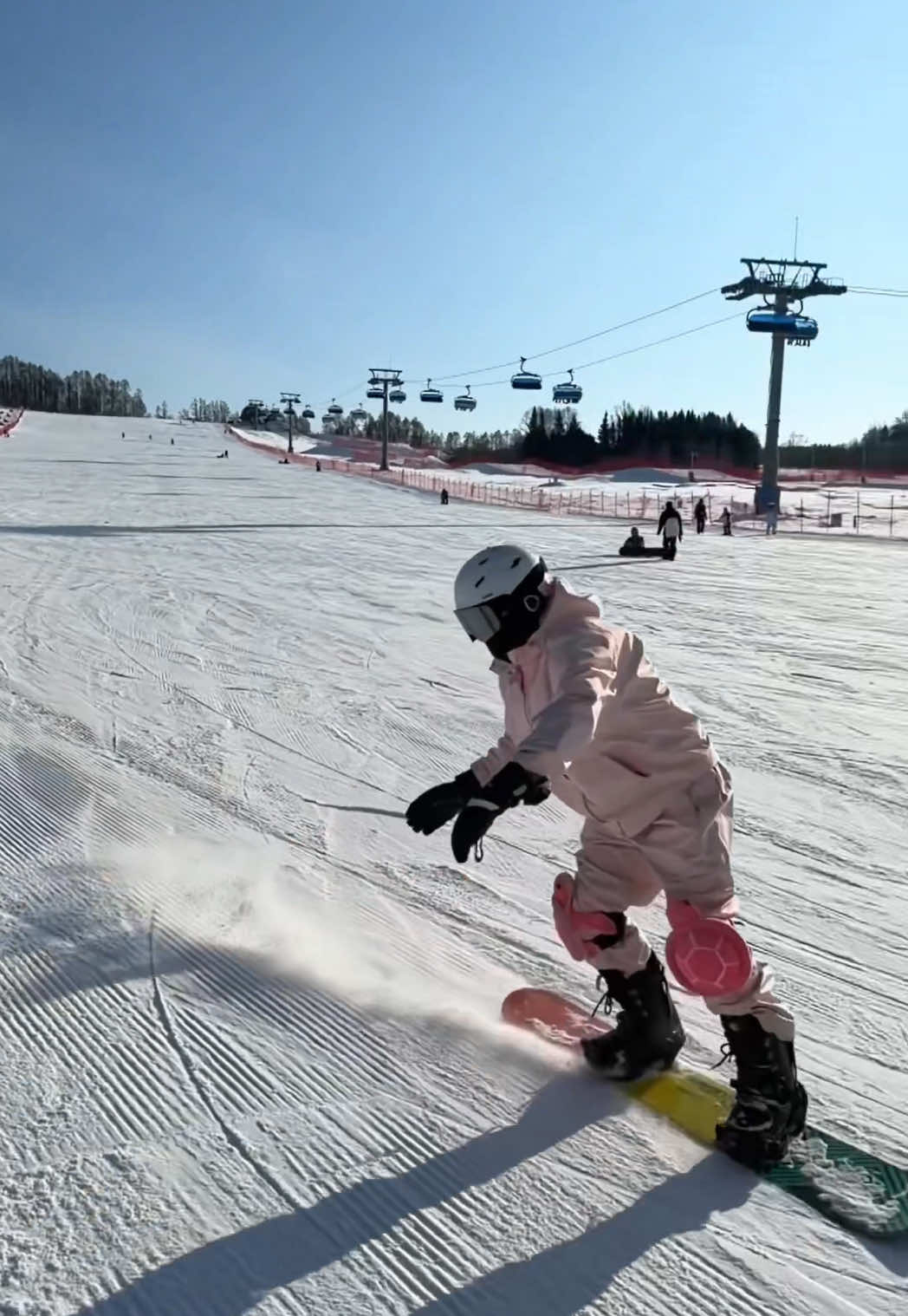 @張霖