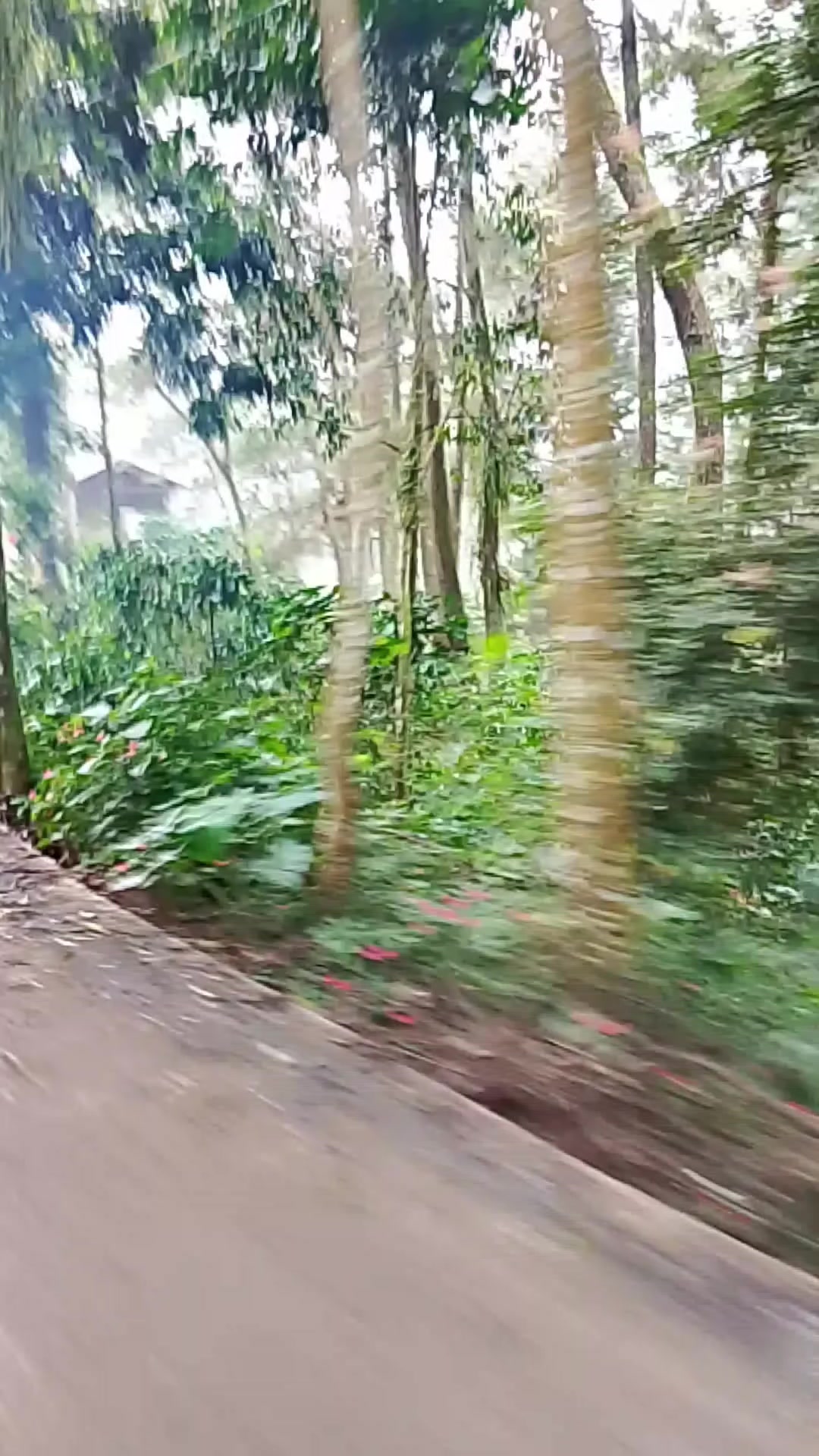 @𝙽𝚞𝚛𝚢𝟸𝚑