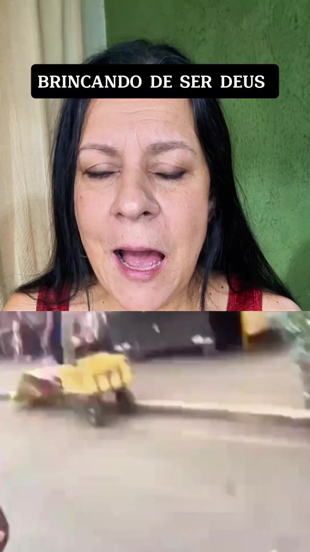 @Portal do Momento