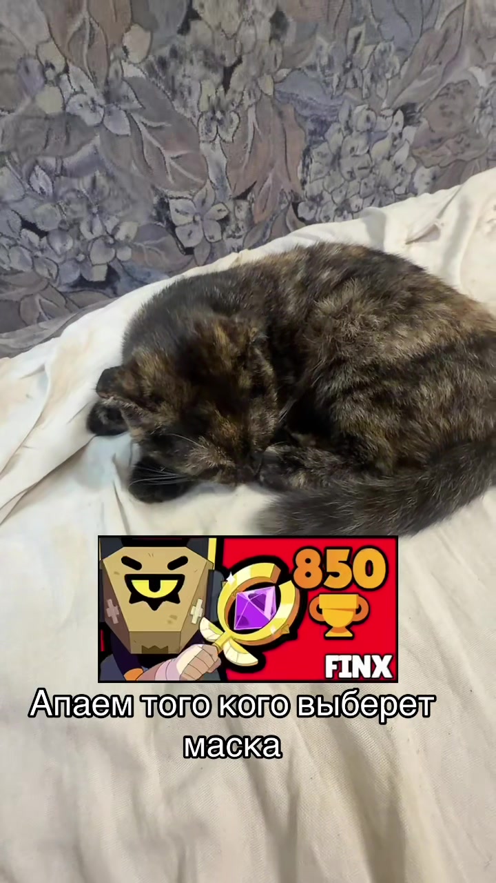 @🎧ྀིྀི 𝓐𝓻𝓲𝓪𝓷𝓪 🎧ྀིྀི