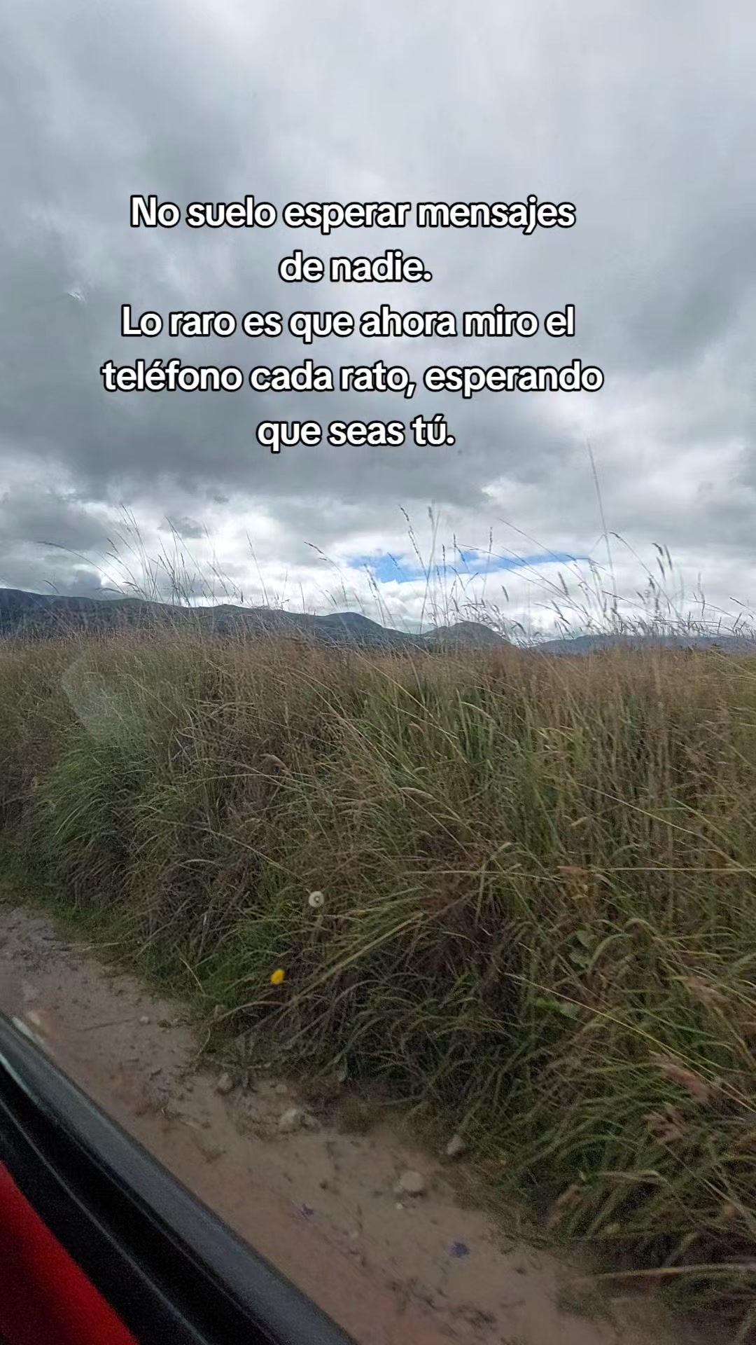 @🦋Dalia ch.c🇨🇴