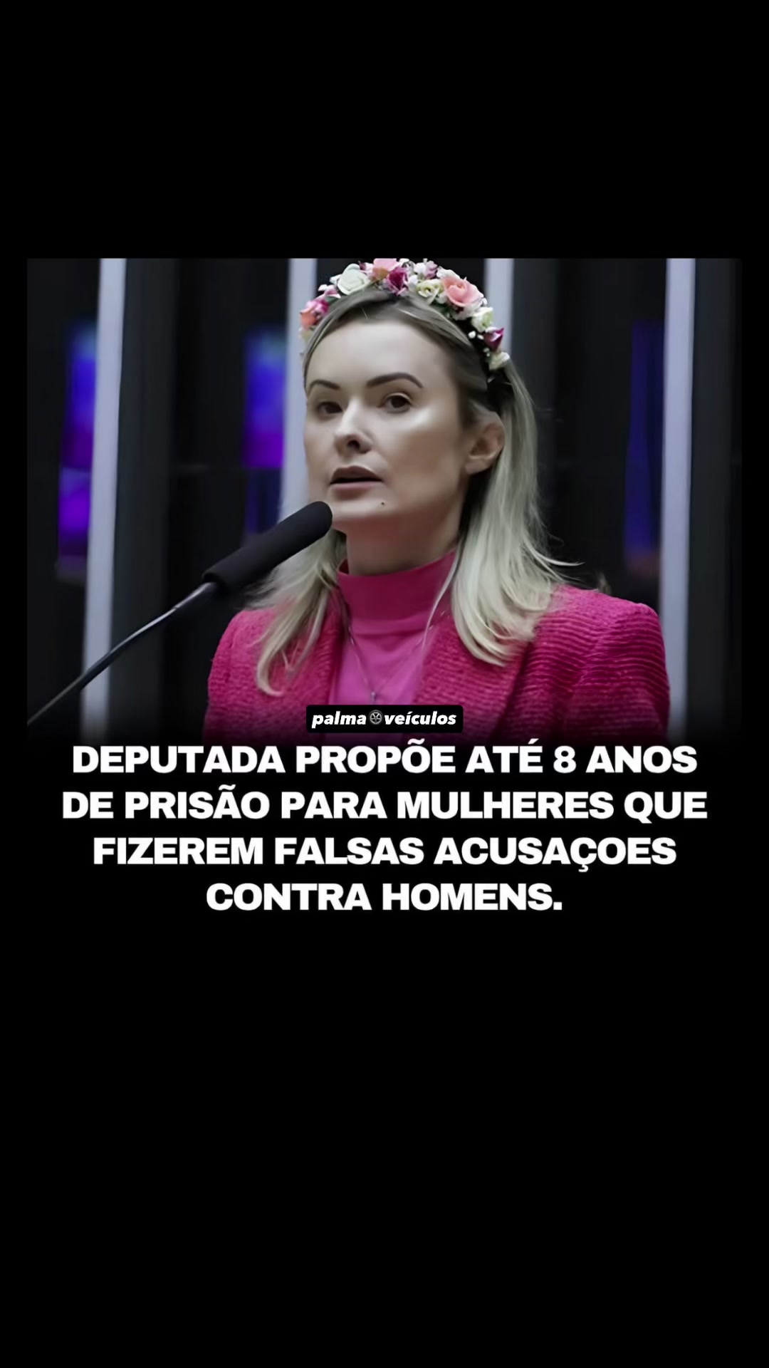 @palmaveiculos