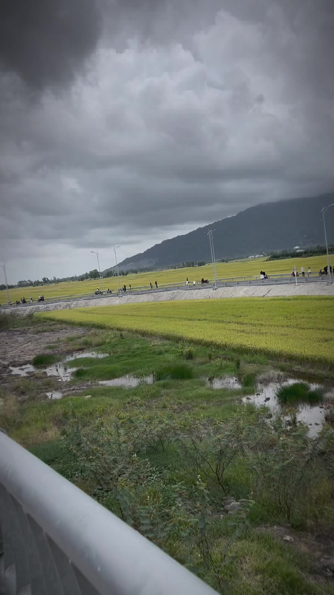 @Ngọc H&acirc;n