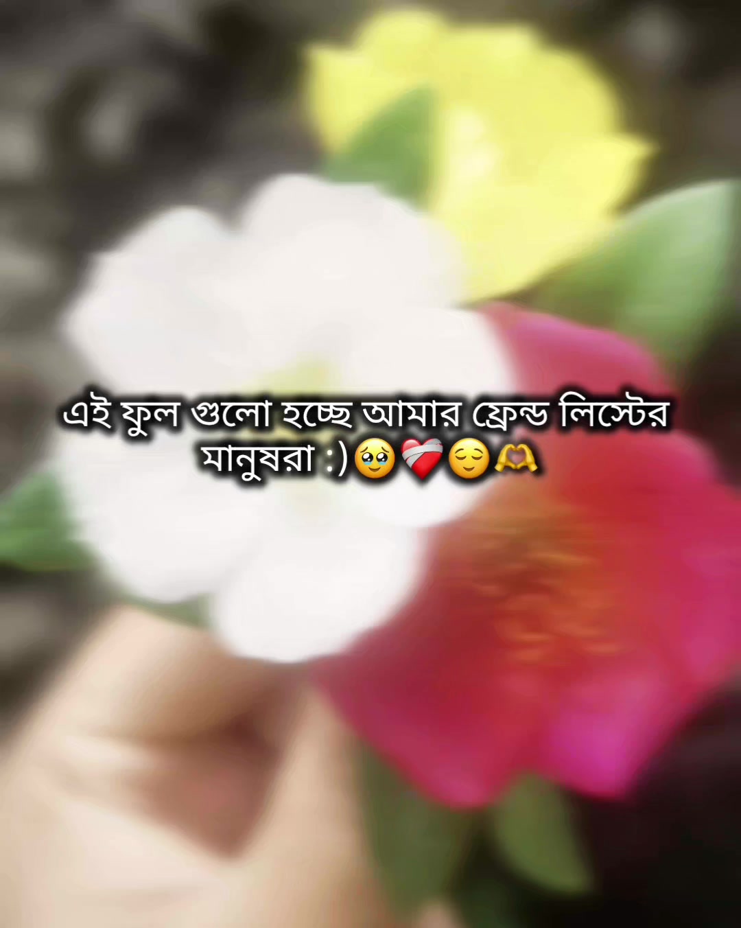 @đāĻāĻžāϤā§āϰ āĻāĻžāϞāĻŋ āĻŦāĻŋāϞāĻžāĻđ