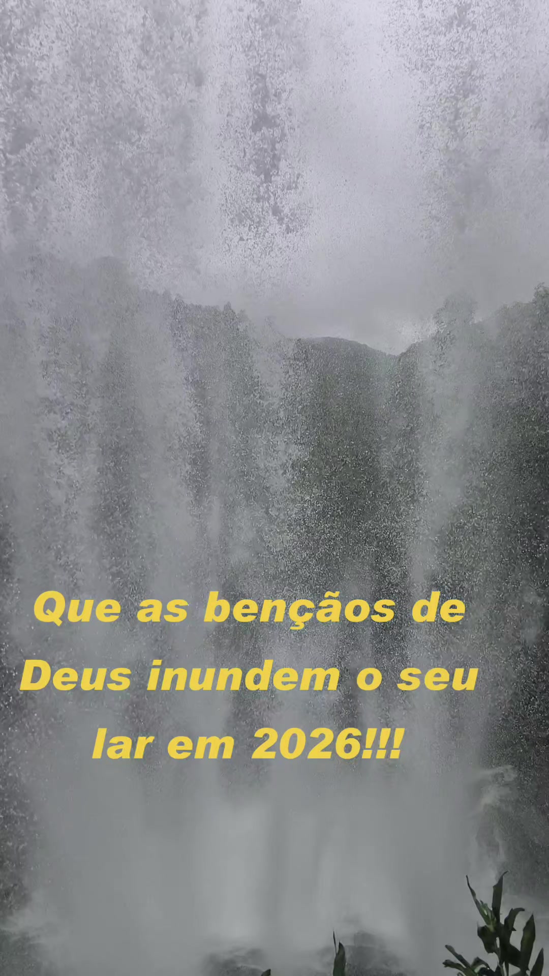 @Brasil 1500