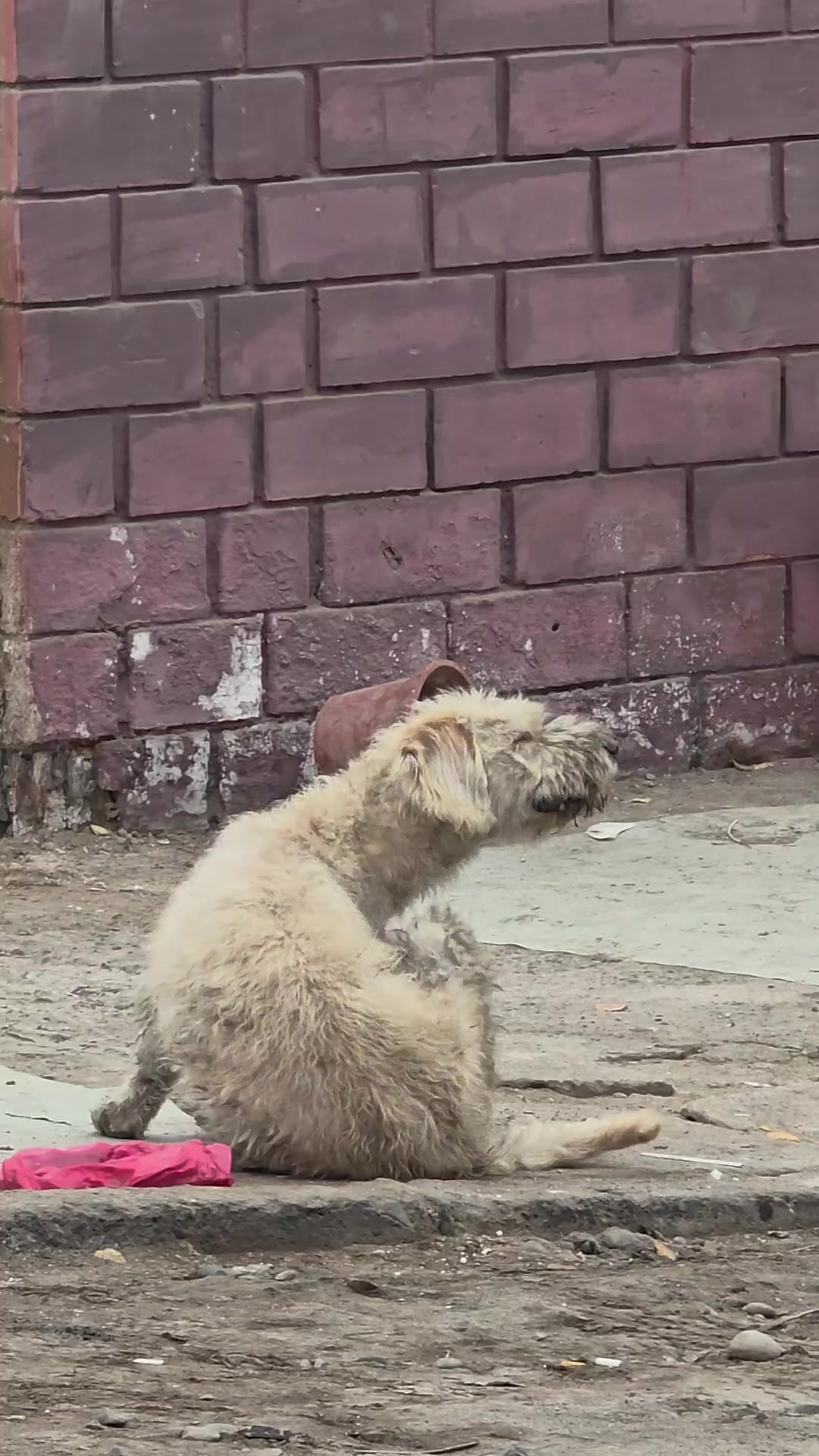 @Arica es Bacán