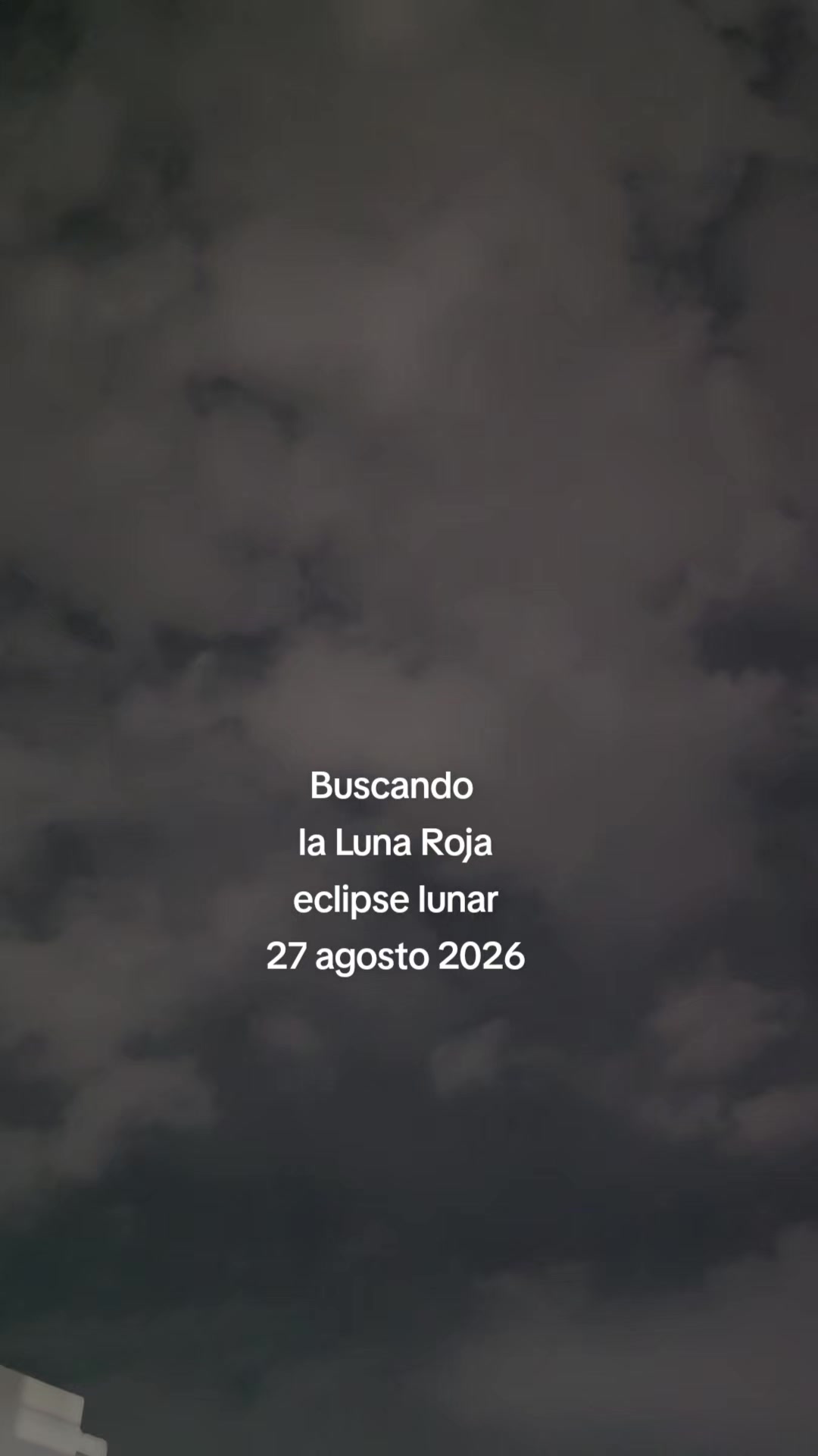 @Siempre Viva!!!