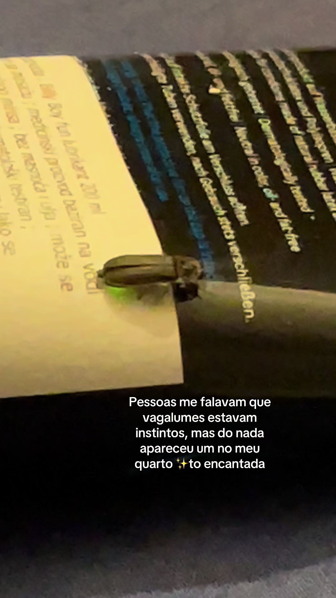 @Bruna Vipom