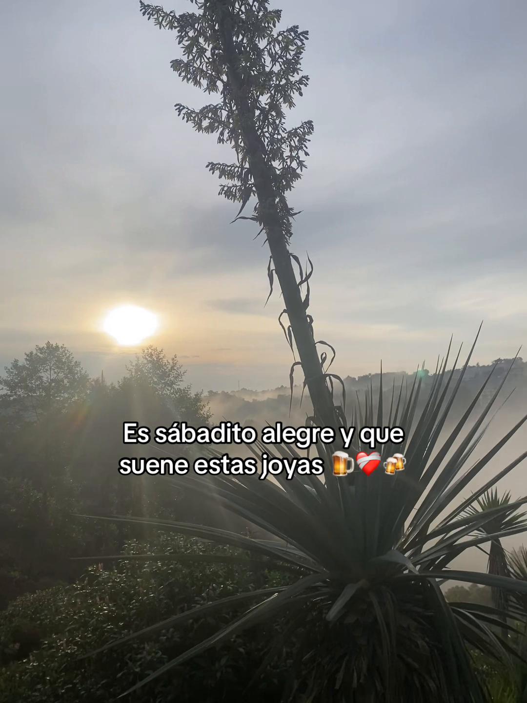 @Aangelito 