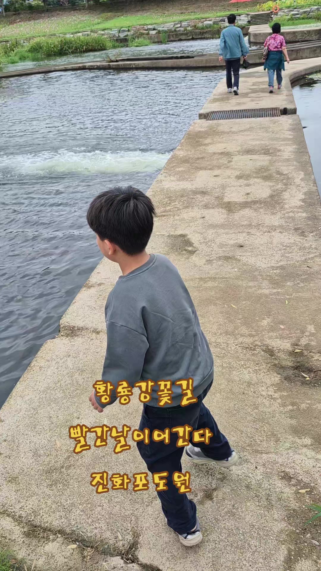 @진화포도원