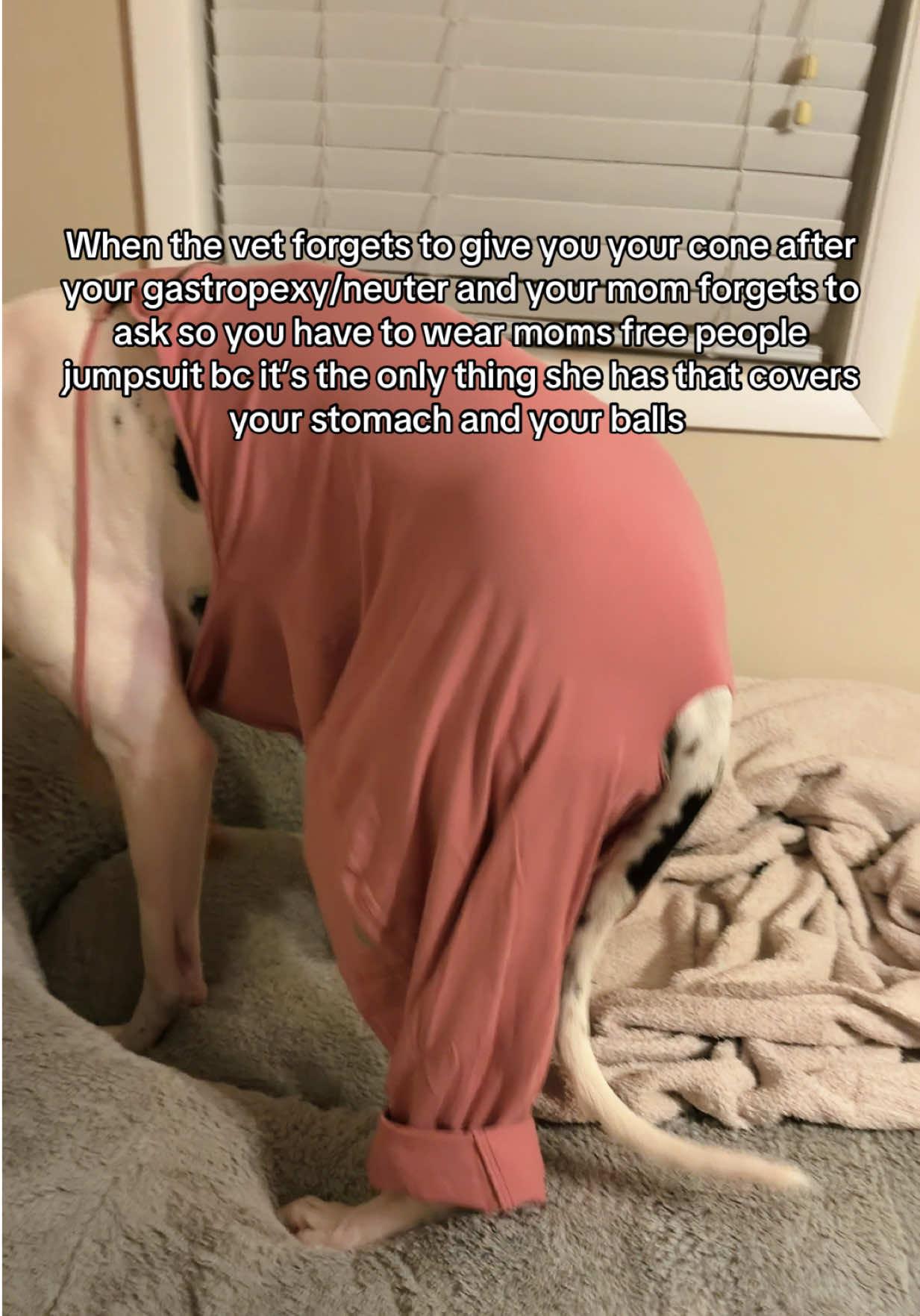 @stonethedane