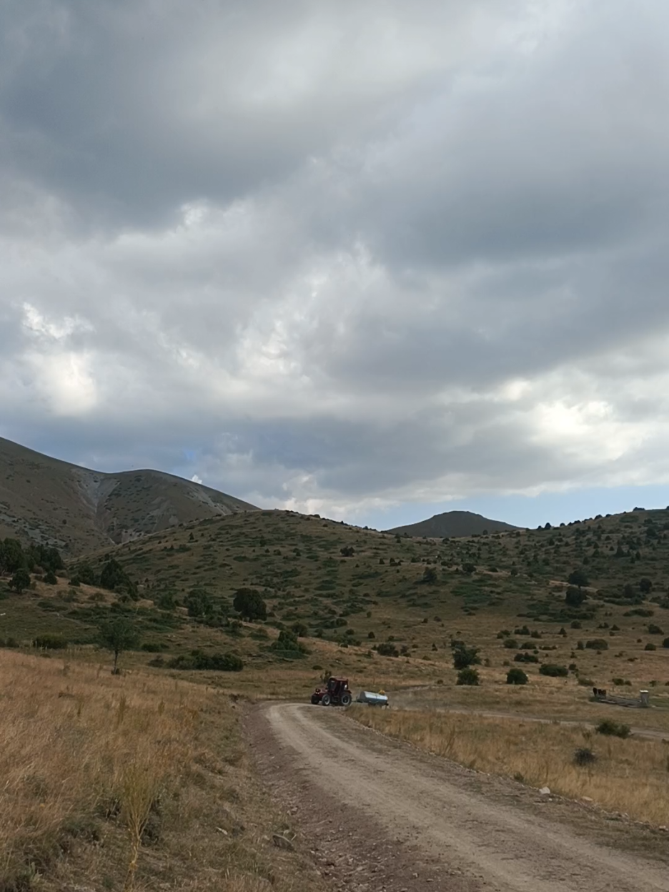 @süleyman bedir öpöz