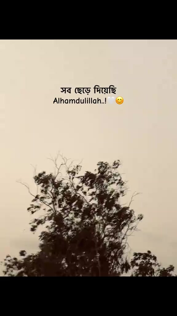 @ᏒᴅxܔᏰᎥᏕᏗᏝ࿐🌩️⚡