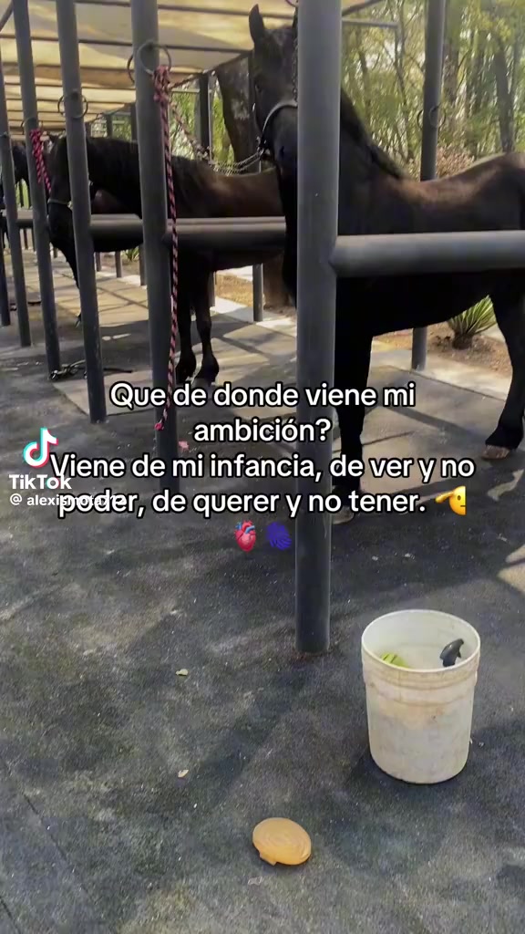@thu pendejo favorito 😈