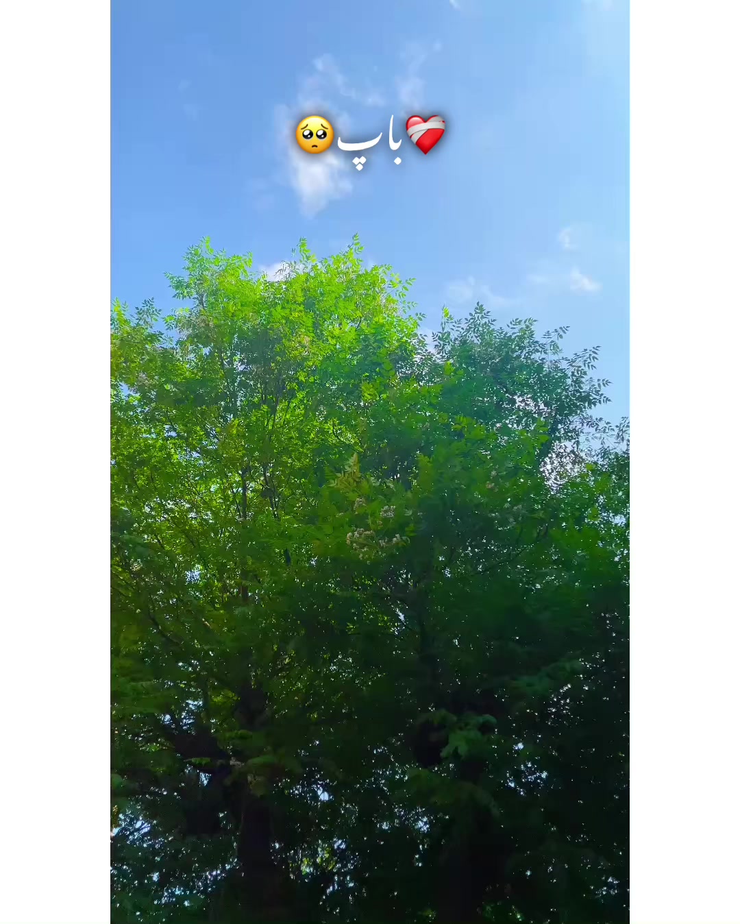 @⚜️𝐊𝐇𝐎𝐊𝐇𝐀𝐑❤️&zwj;🩹
