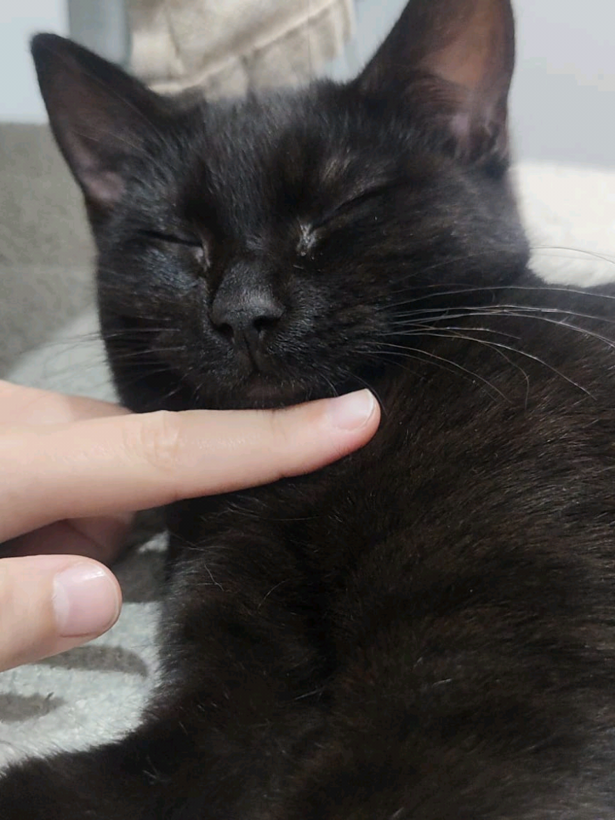 @Roar of the Khalsa