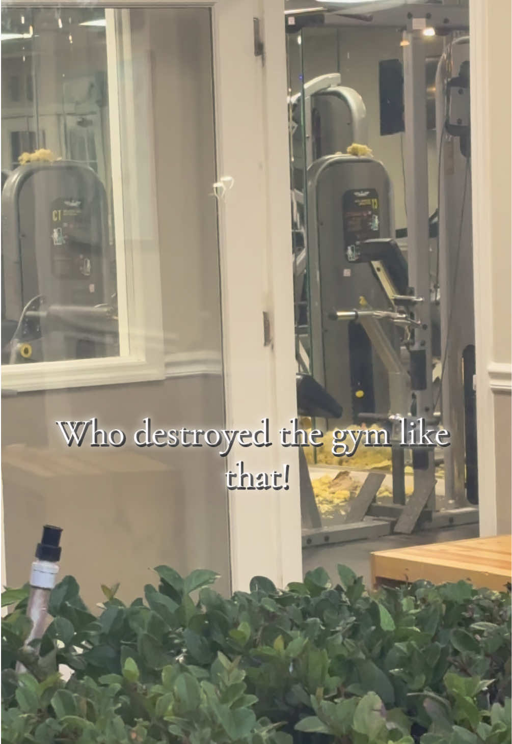 @YT: NaturallyShareda