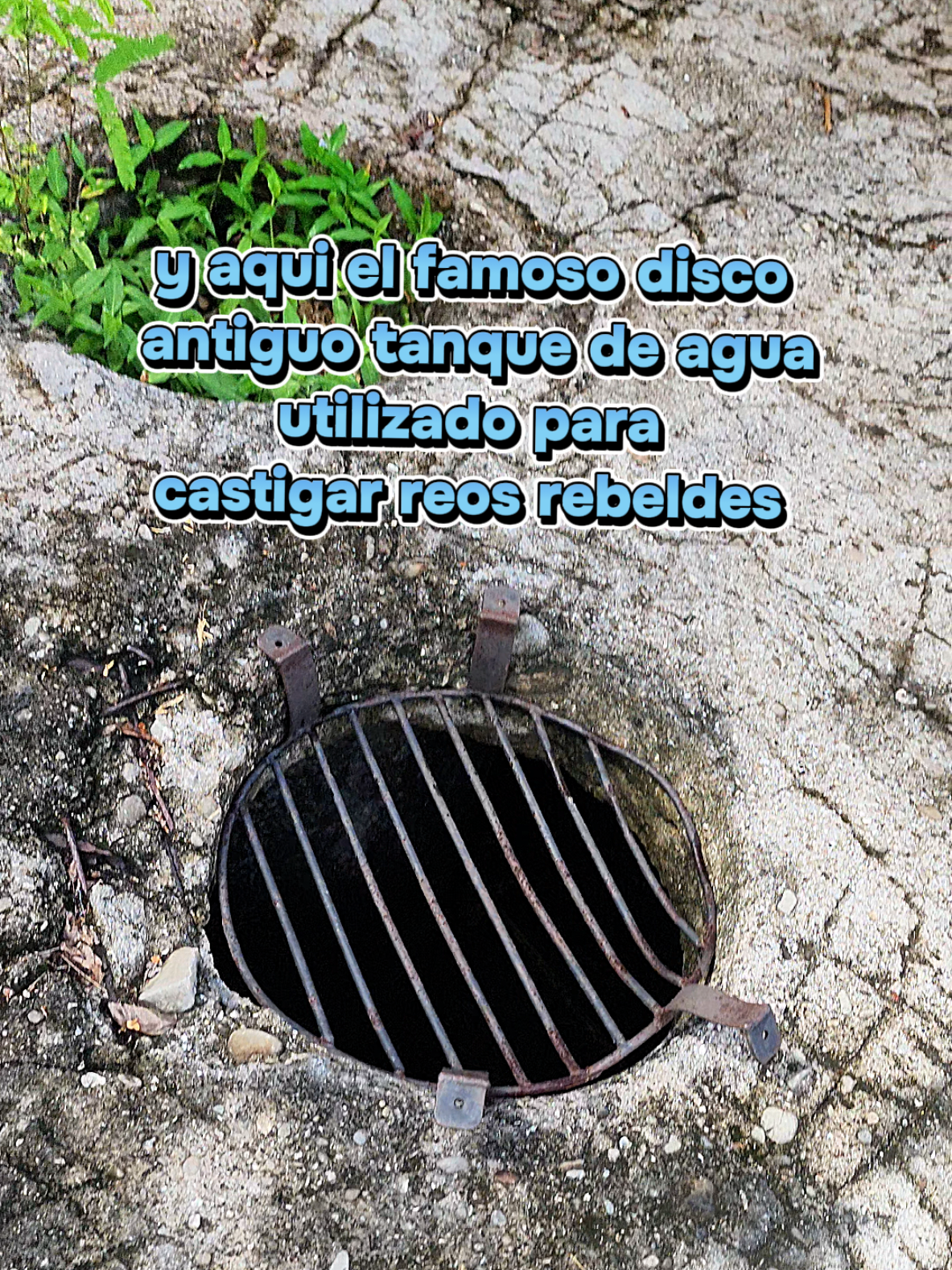@Rasta Tours CR
