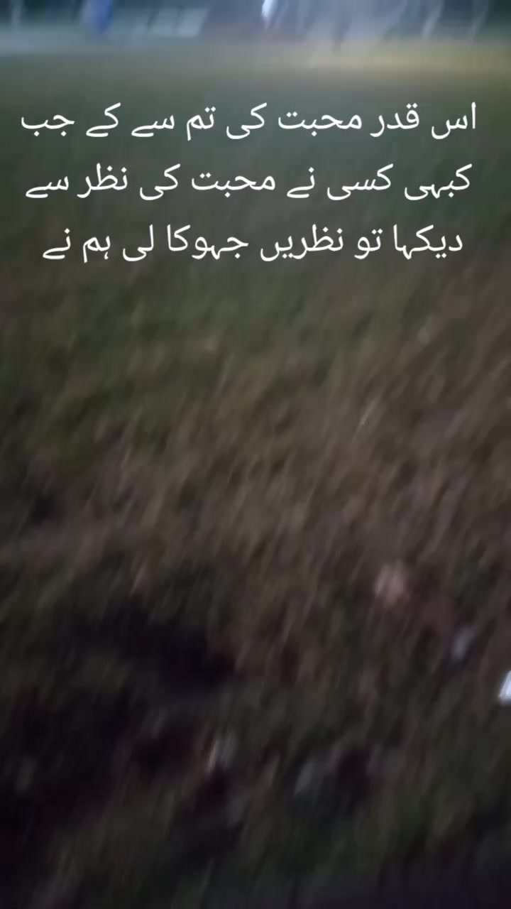 @🕊️⚔️Hammad writes ⚔️🕊️