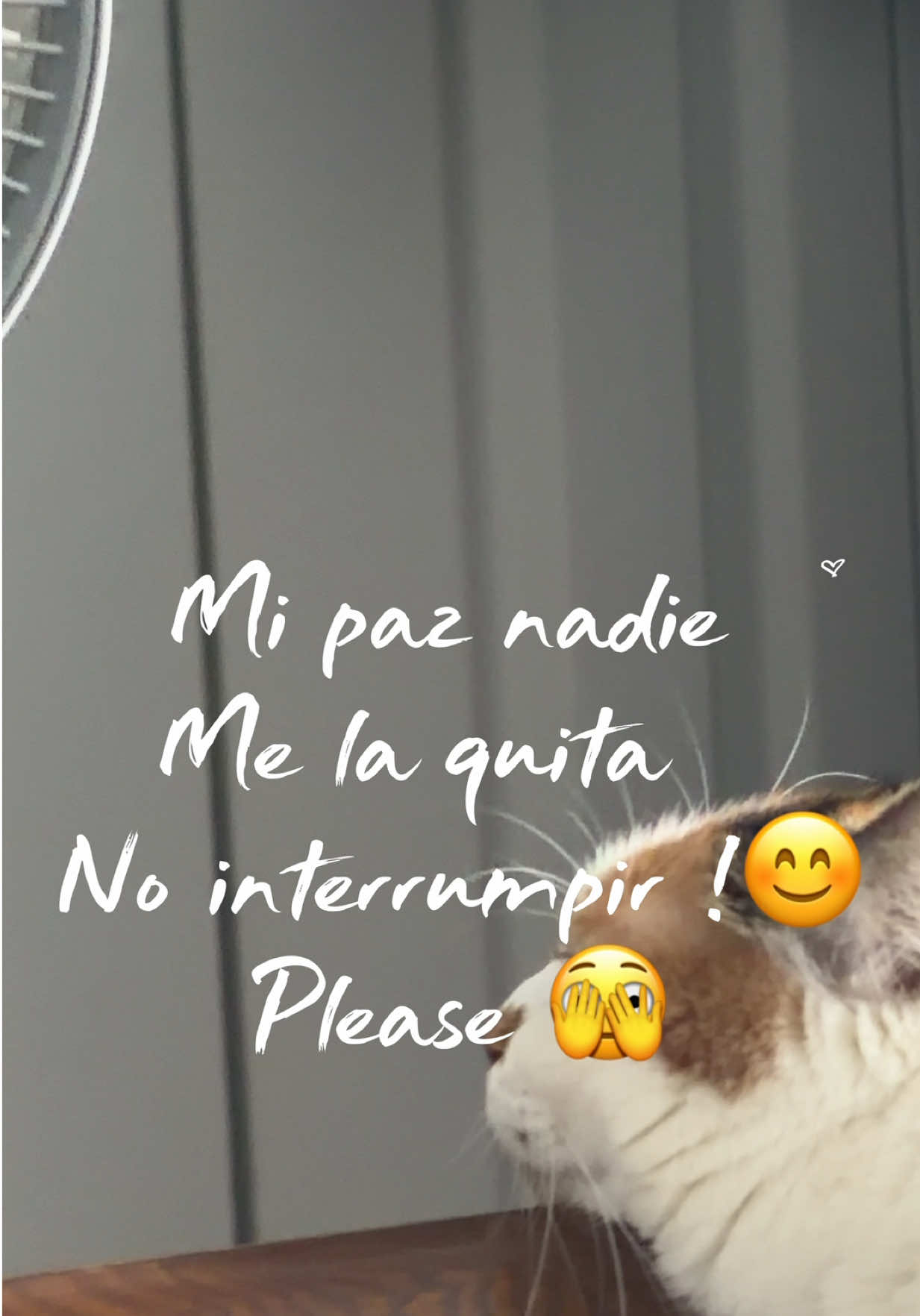 @Elidetodounpoco