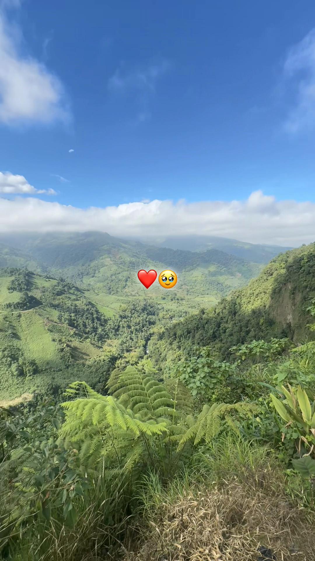 @𝑀𝐼𝐾𝐼 𝑇𝐸𝐹𝑌𝑆 👸