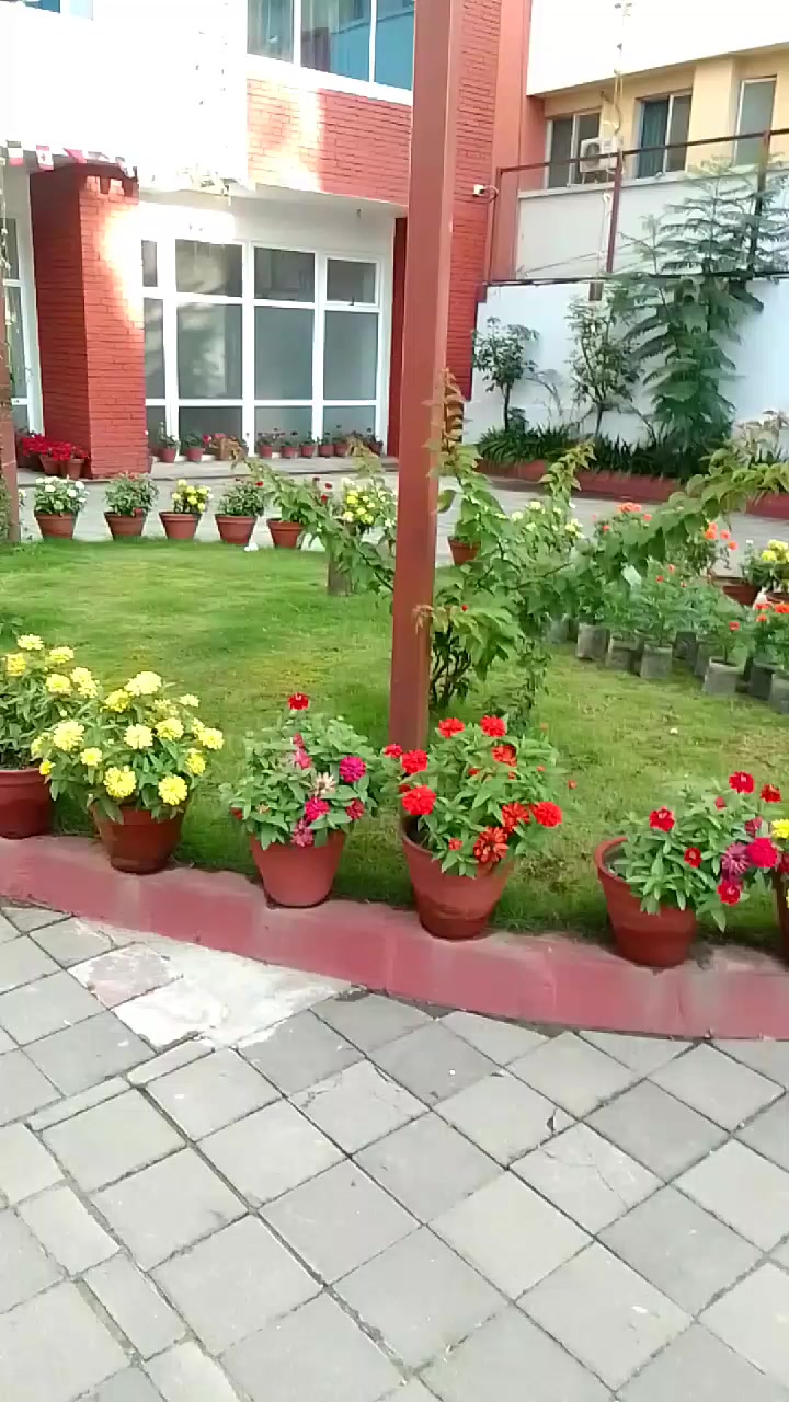 @गुरूङ ❤️❤️ गाेर्खालि