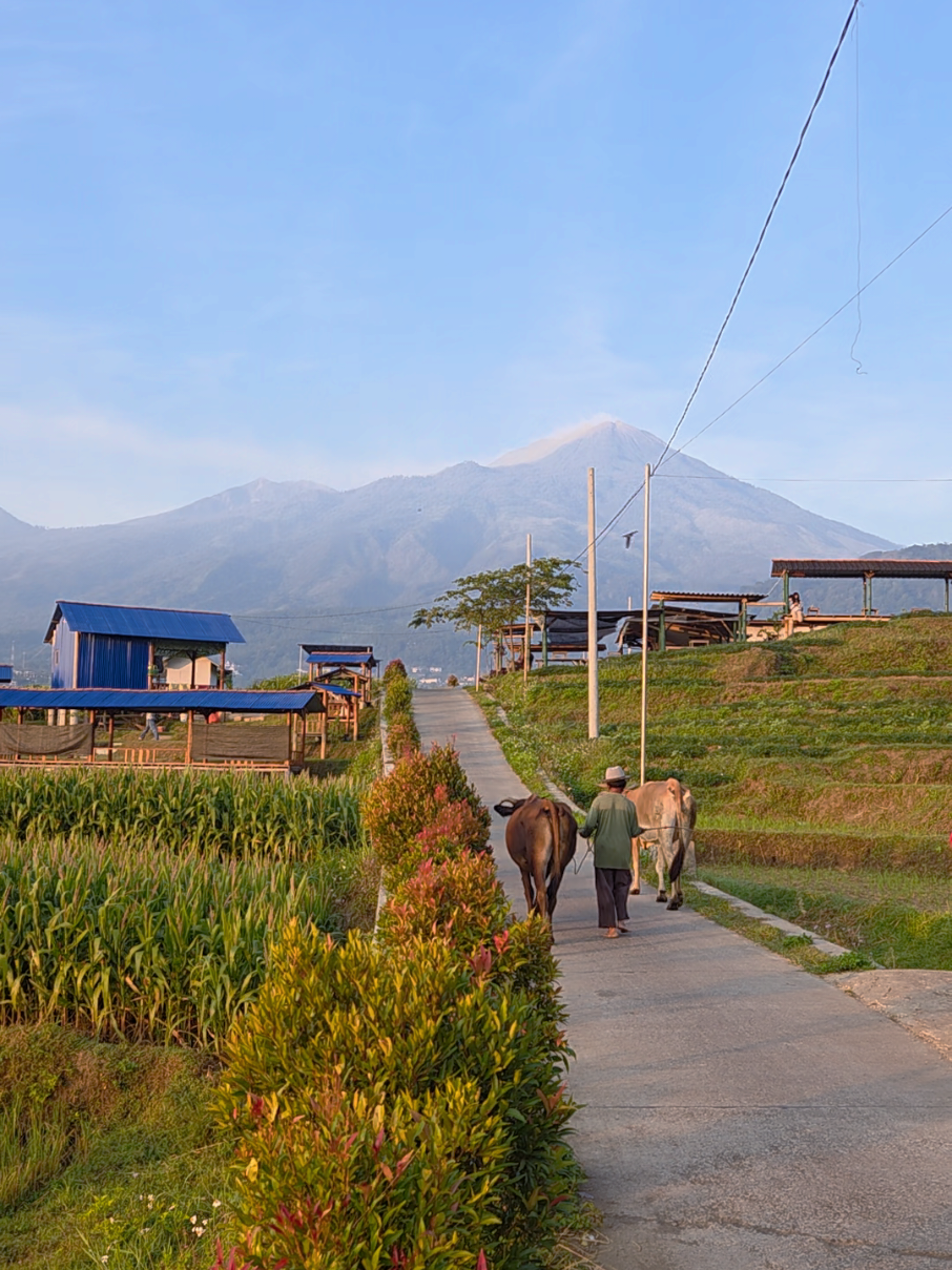 @Slow living Trawas