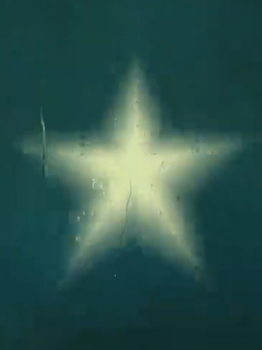 @𝒮𝓉𝒶𝓇 𝒟𝓊𝓈𝓈𝓉 ⋆
