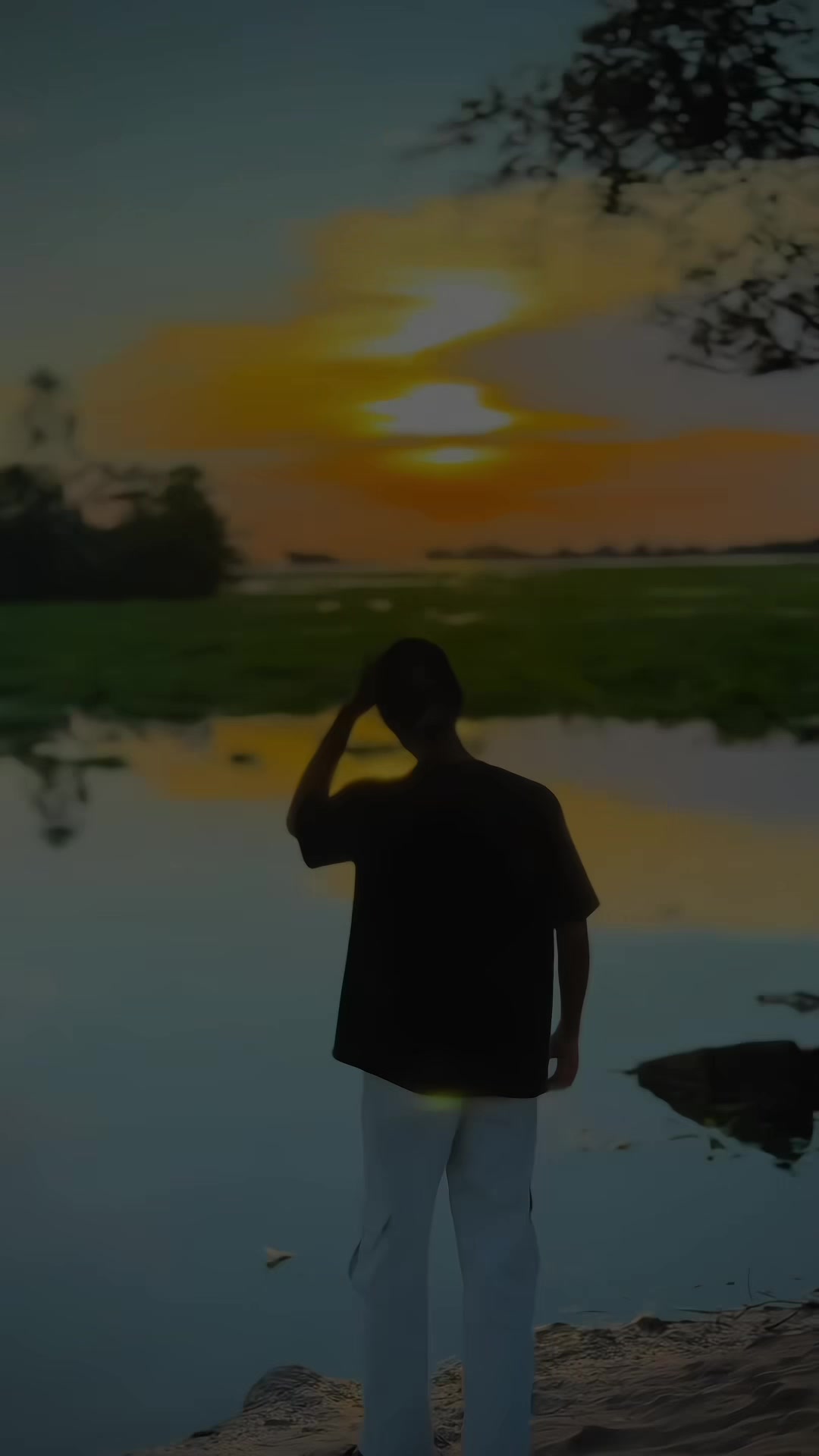 @T A N I M