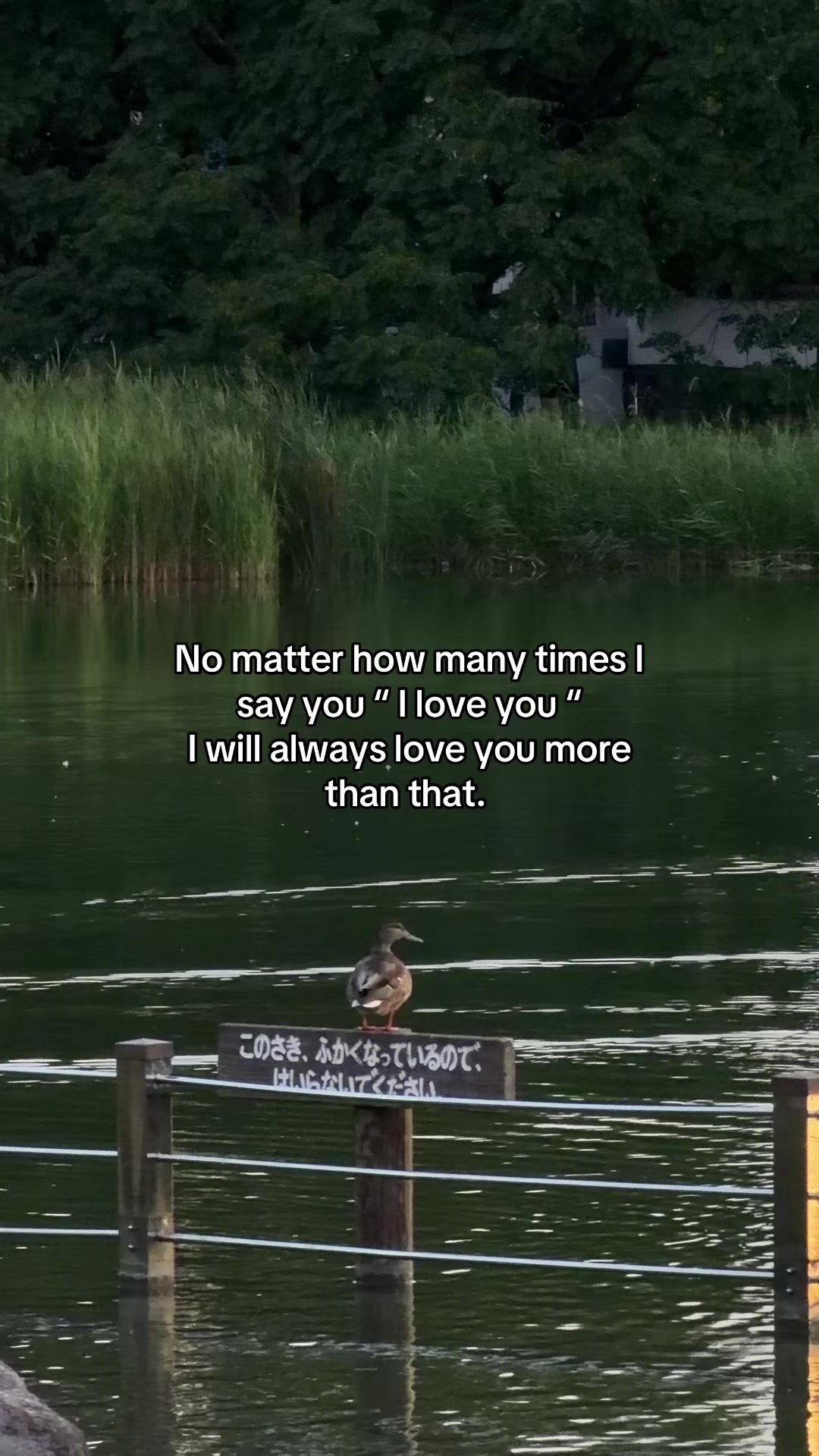 @Ze_ro