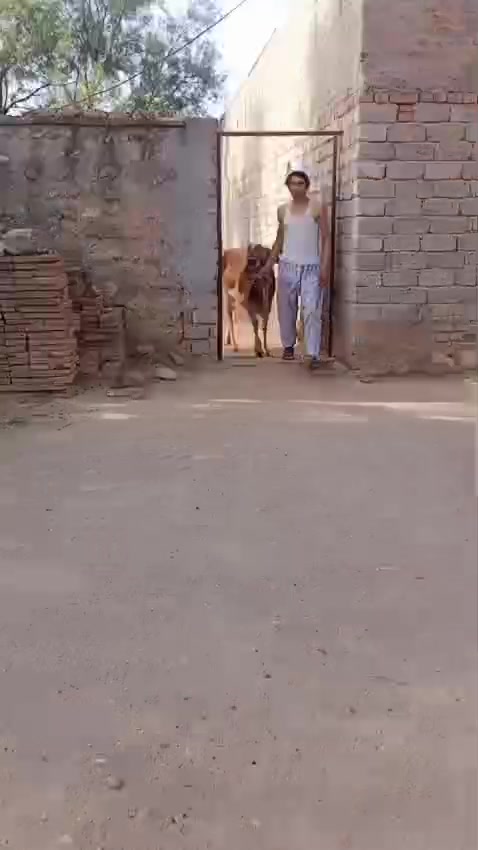 @akh balkate