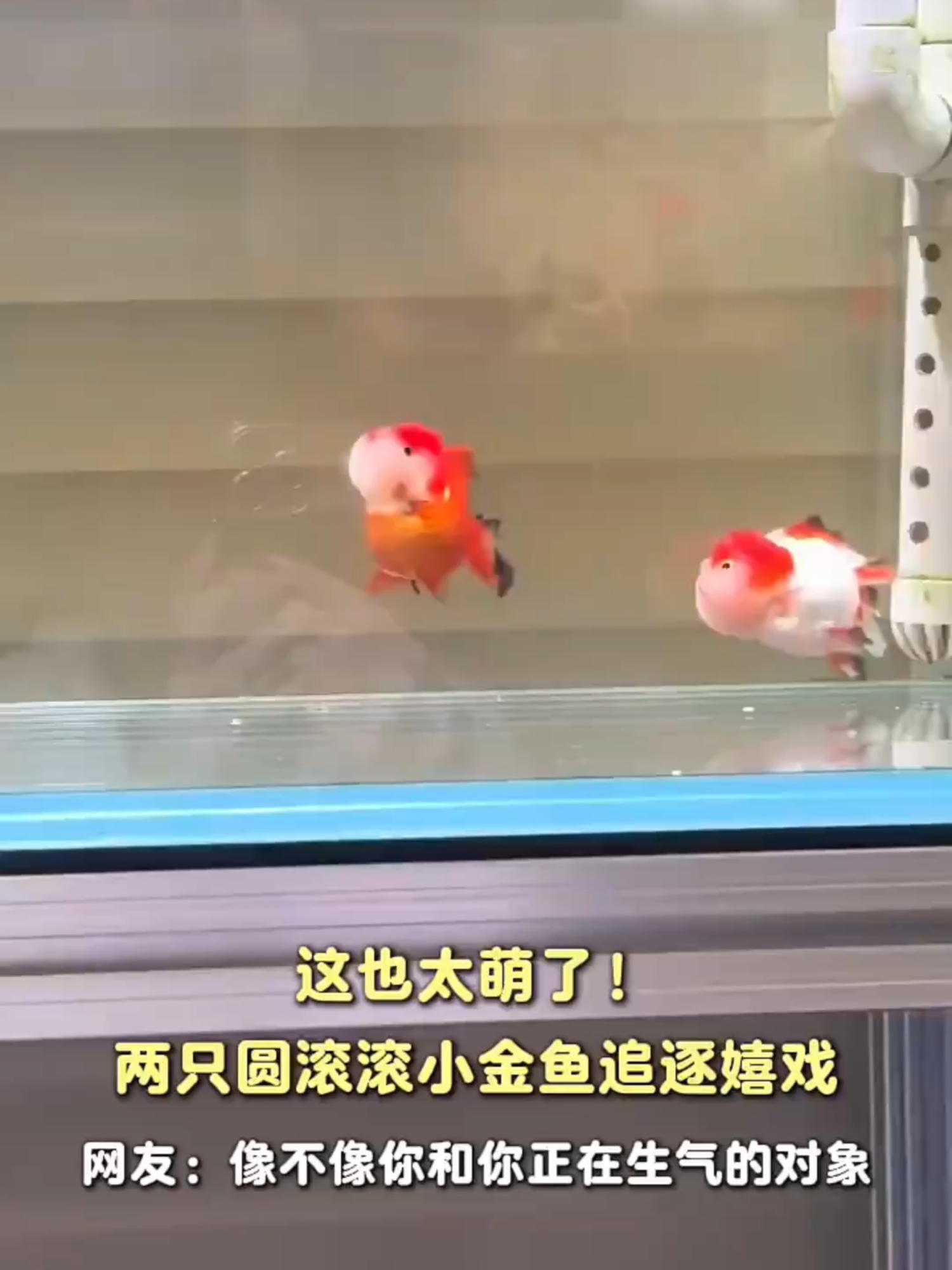 @闽南风~