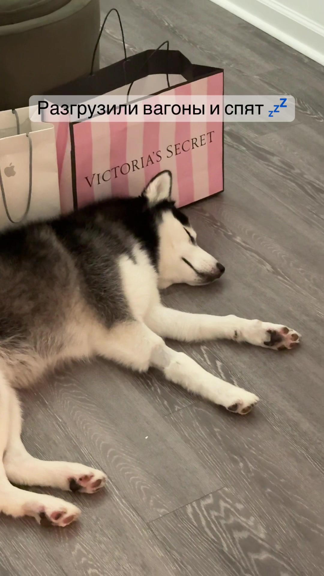 @Husky_mom