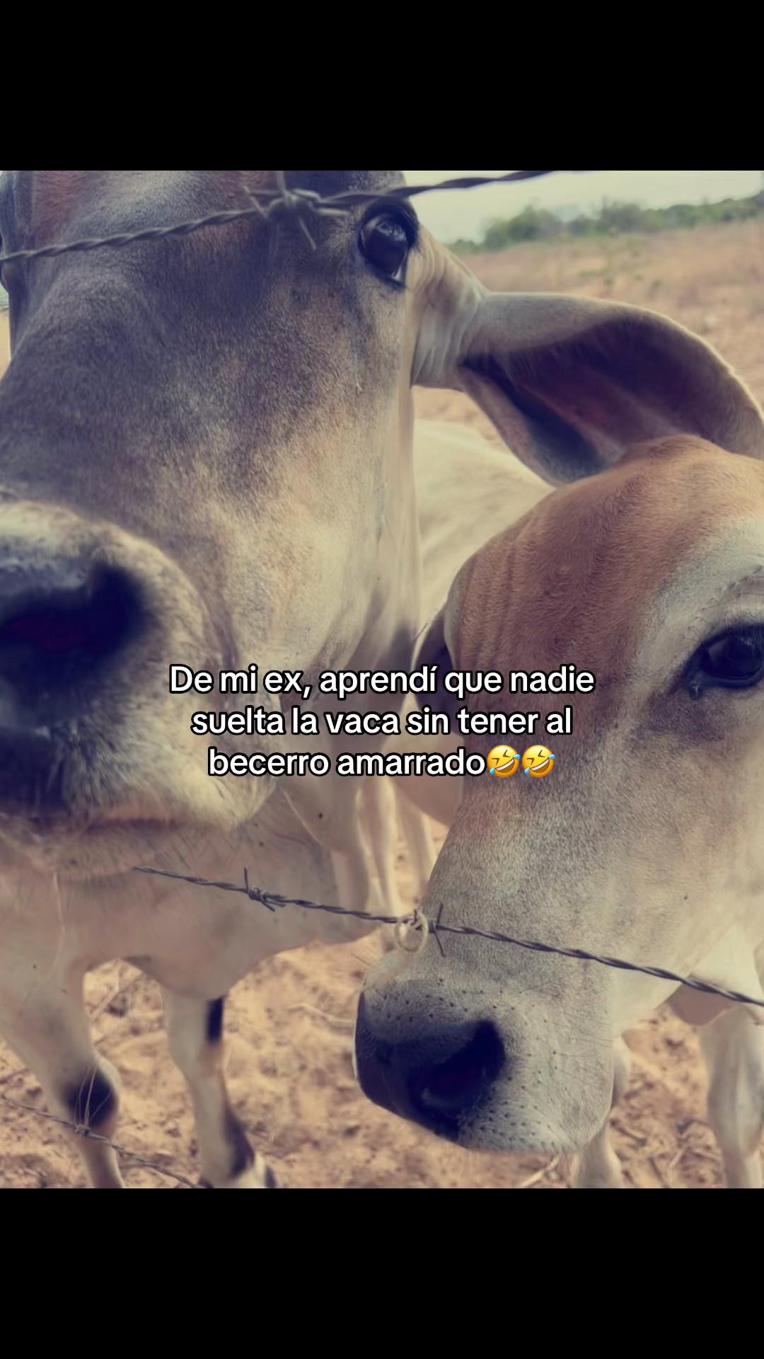 @Mar&iacute;a Paula🌸